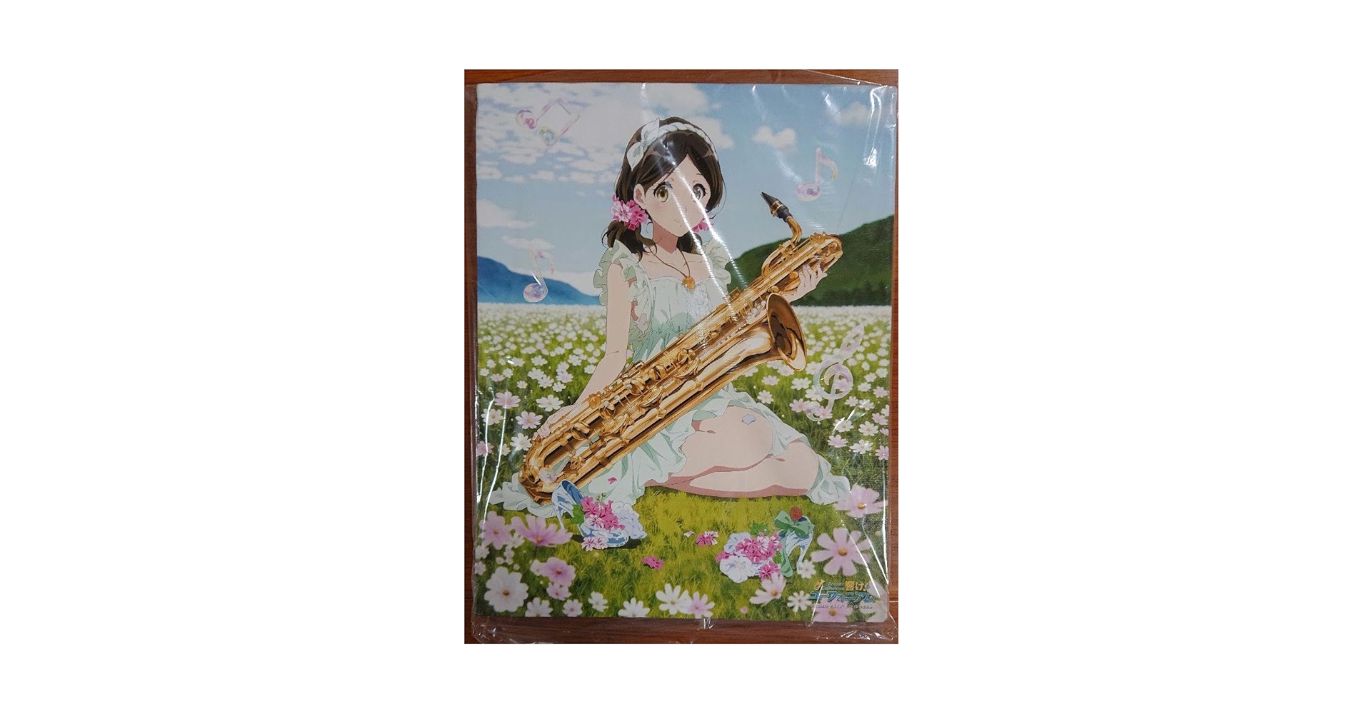Amazon.co.jp: 小笠原晴香 バースデーキャンバスアート 「響け